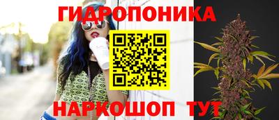 стафф Боровичи