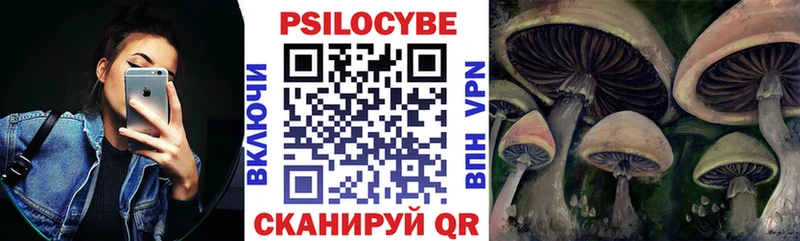 закладка  hydra маркетплейс  Псилоцибиновые грибы прущие грибы  Махачкала 