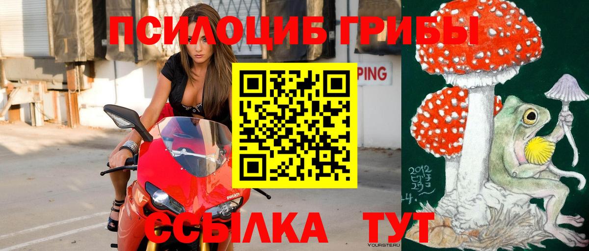 Махачкала  Псилоцибиновые грибы мухоморы  цены наркотик  Вход с VPN 