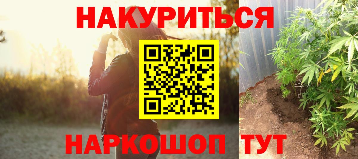 Конопля OG Kush  Вход с VPN  Каннабис Amnesia  Махачкала  Бошки Шишки план  Бошки Шишки OG Kush 